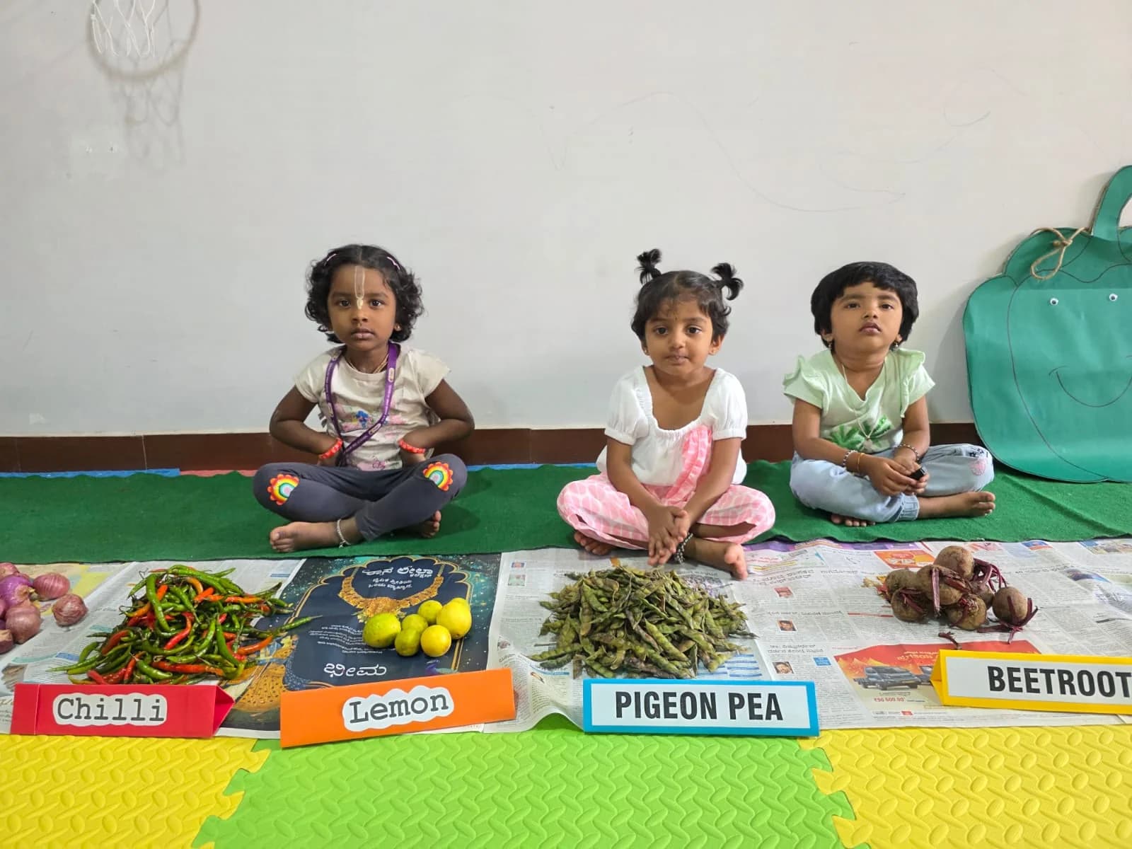 Vegetable identification activity