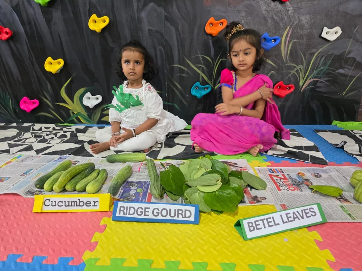 Vegetable identification — cucumber, ridge gourd, betel leaves