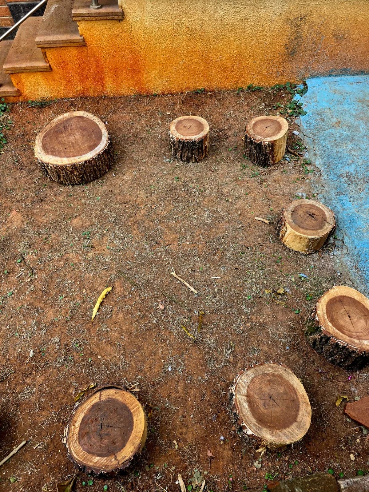 Wood log stepping stones at FlyHigh