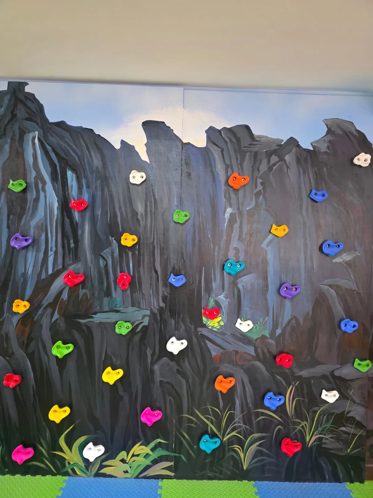 Climbing wall at FlyHigh